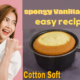 spongy Vanilla Cake